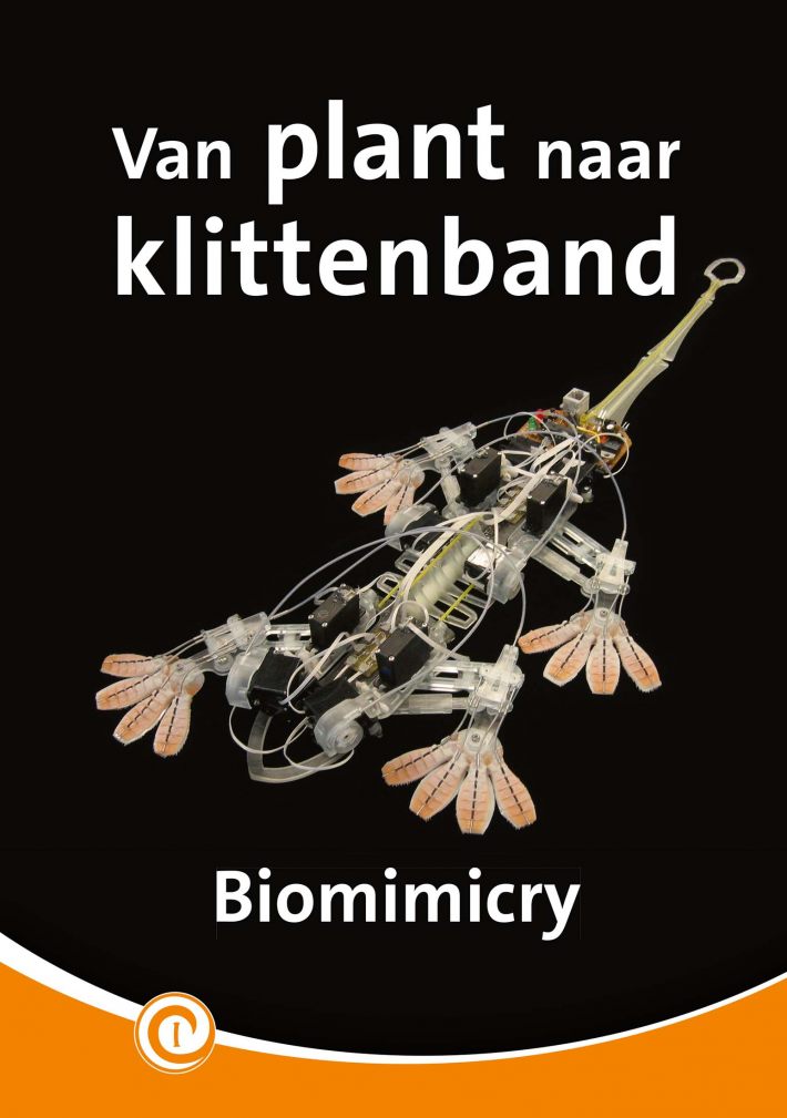 Van plant naar klittenband Van plant naar klittenband