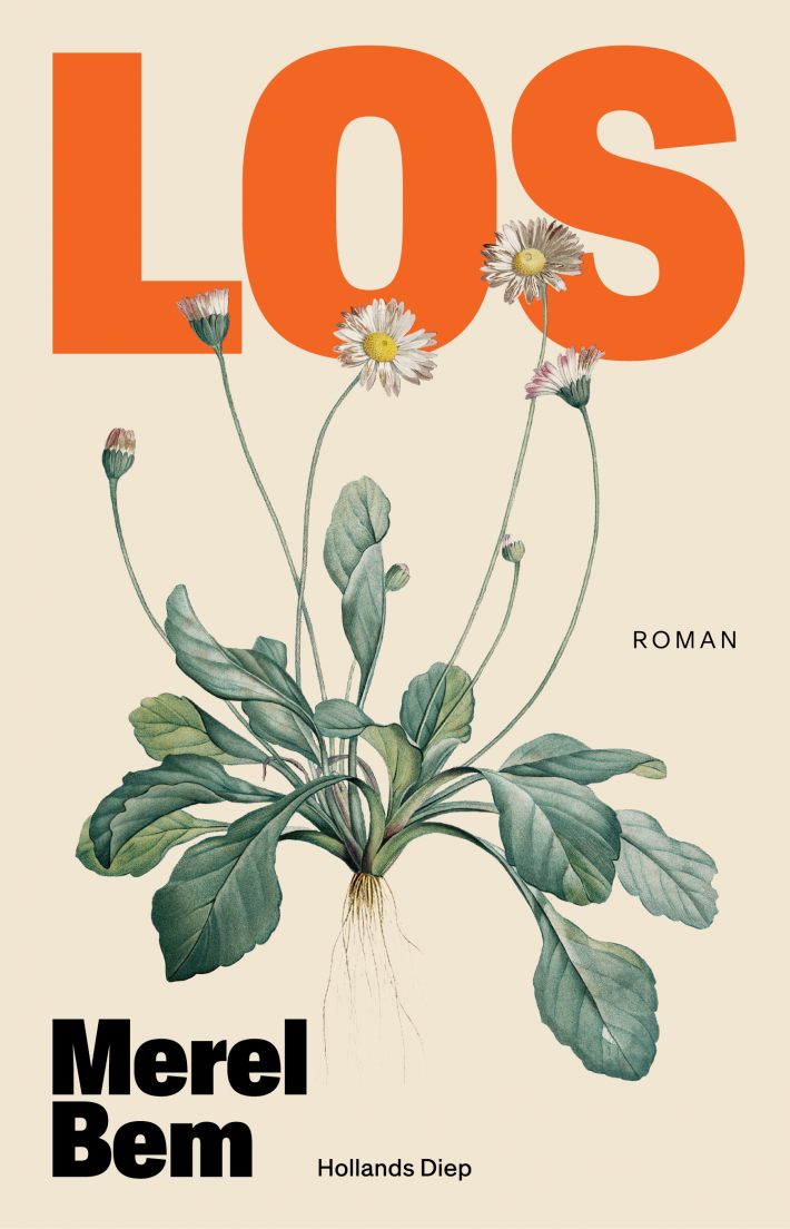 Los • Los Los • Los