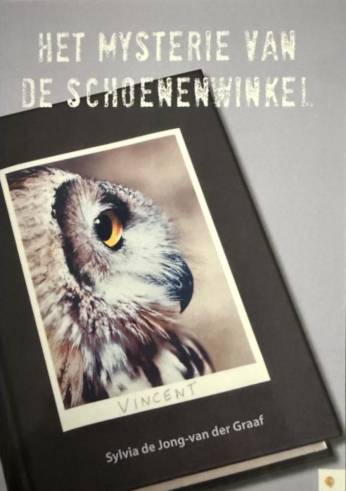 Het mysterie van de schoenenwinkel Het mysterie van de schoenenwinkel