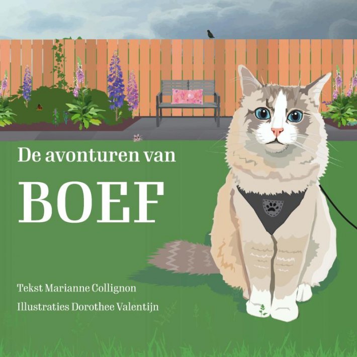 De avonturen van Boef