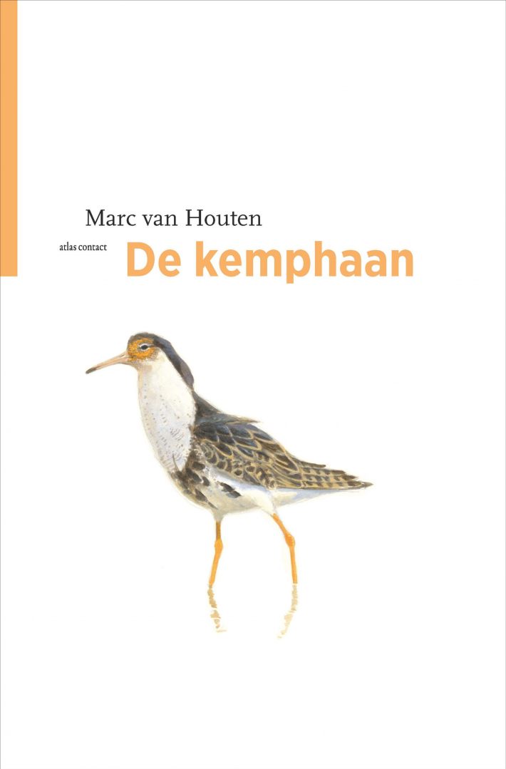 De kemphaan &bullet; De Kemphaan