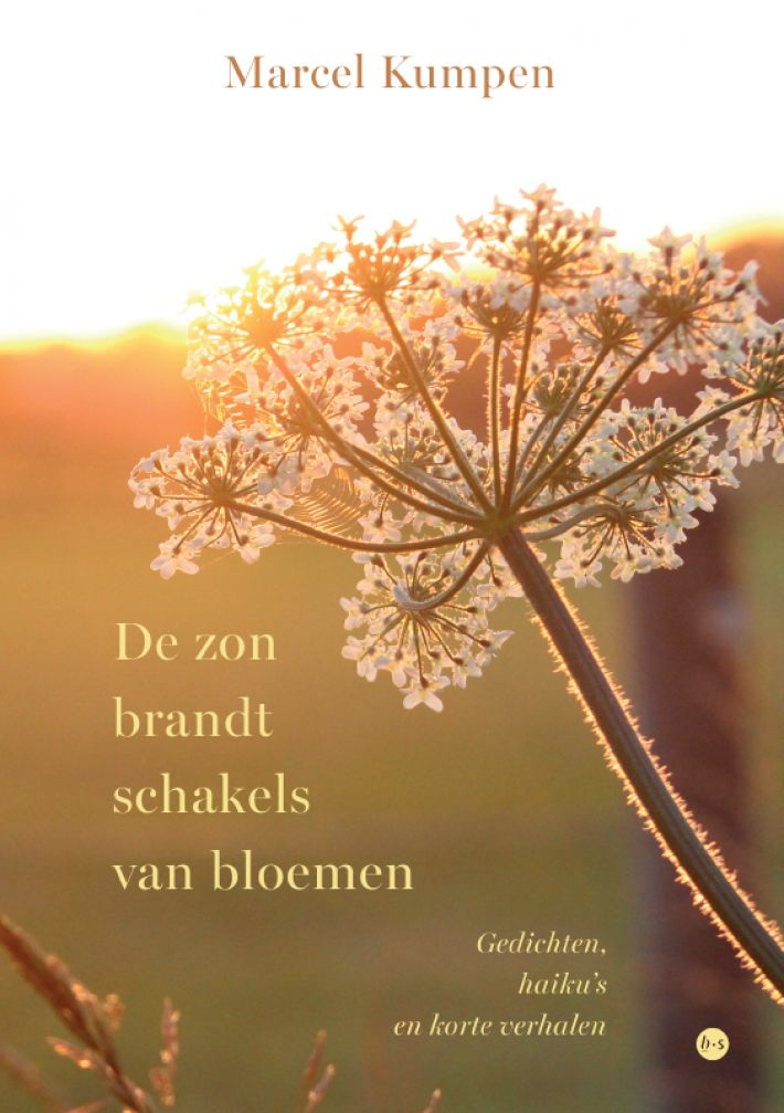 De zon brandt schakels van bloemen