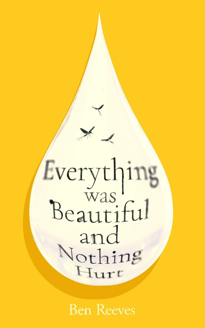 Everything was Beautiful and Nothing Hurt