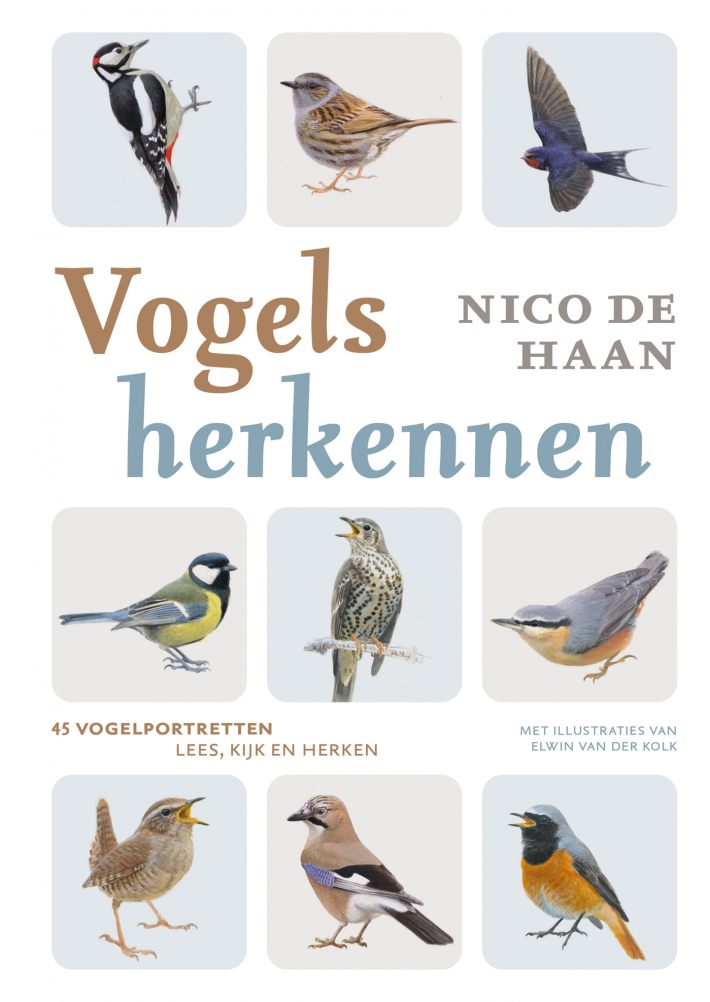 Vogels herkennen