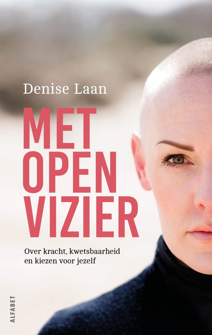 Met open vizier &bullet; Met open vizier