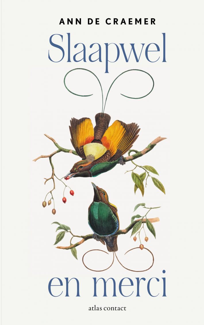 Slaapwel en merci • Slaapwel en merci Slaapwel en merci • Slaapwel en merci