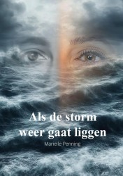 Als de storm weer gaat liggen