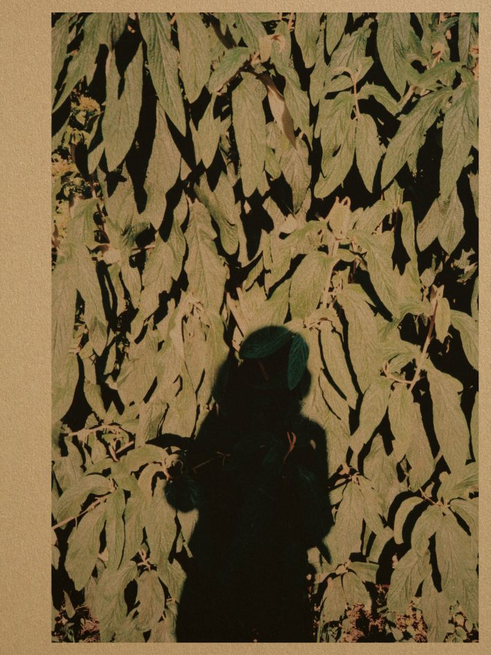 DRWNG. PHTGRPH. RCHV. Anouk Griffioen