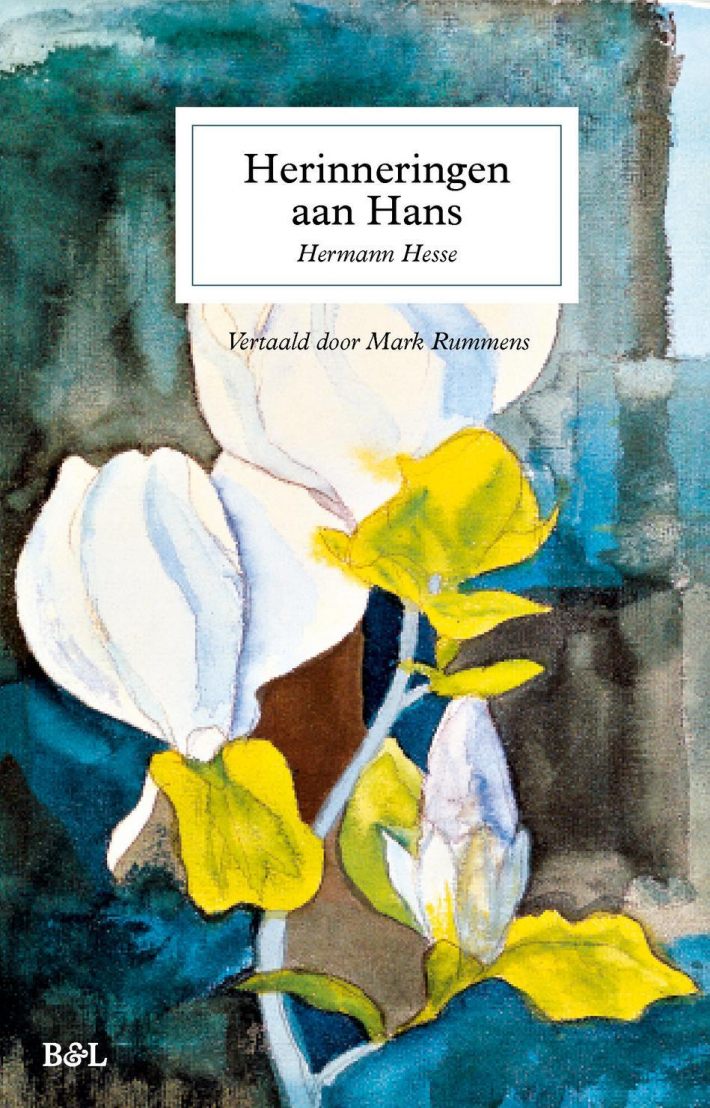 Herinneringen aan Hans