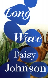 Long Wave Long Wave