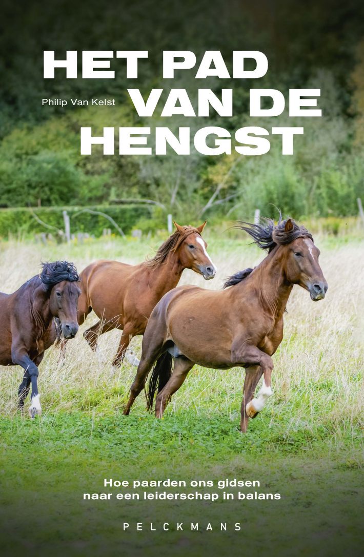 Het pad van de hengst