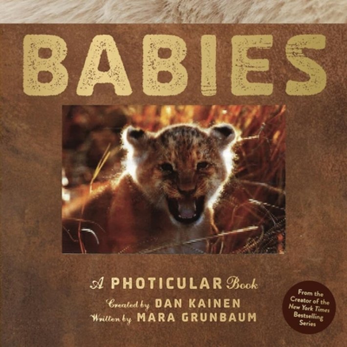 Babies: A Photicular Book