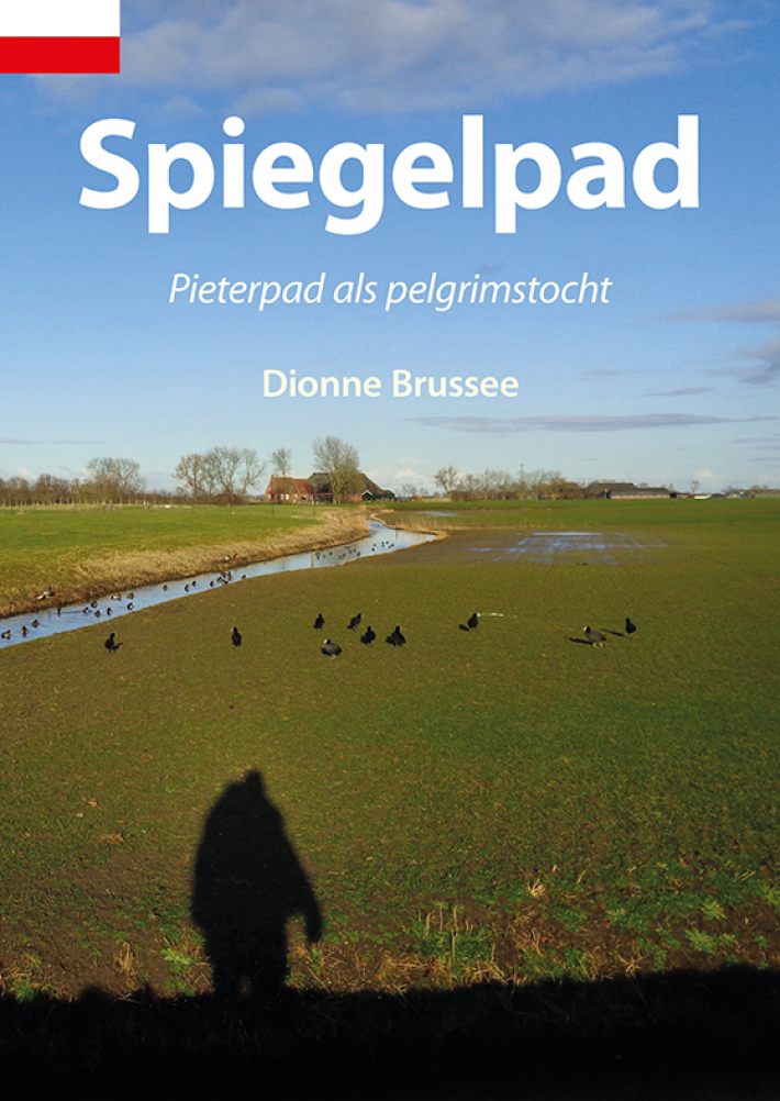 Spiegelpad