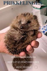 Prikkelingen en andere beestachtigheden