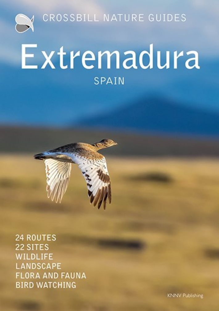 Crossbill Nature Guide Extremadura Crossbill Nature Guide Extremadura
