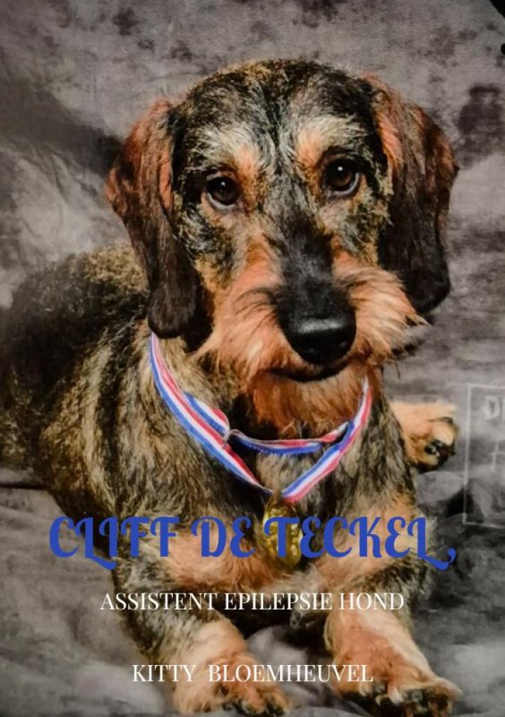Cliff de Teckel, een hond van goud