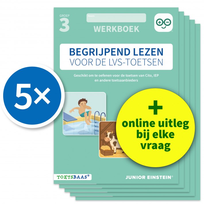 Begrijpend lezen voor de LVS-toetsen - Groep 3 - Werkboek - Set van 5