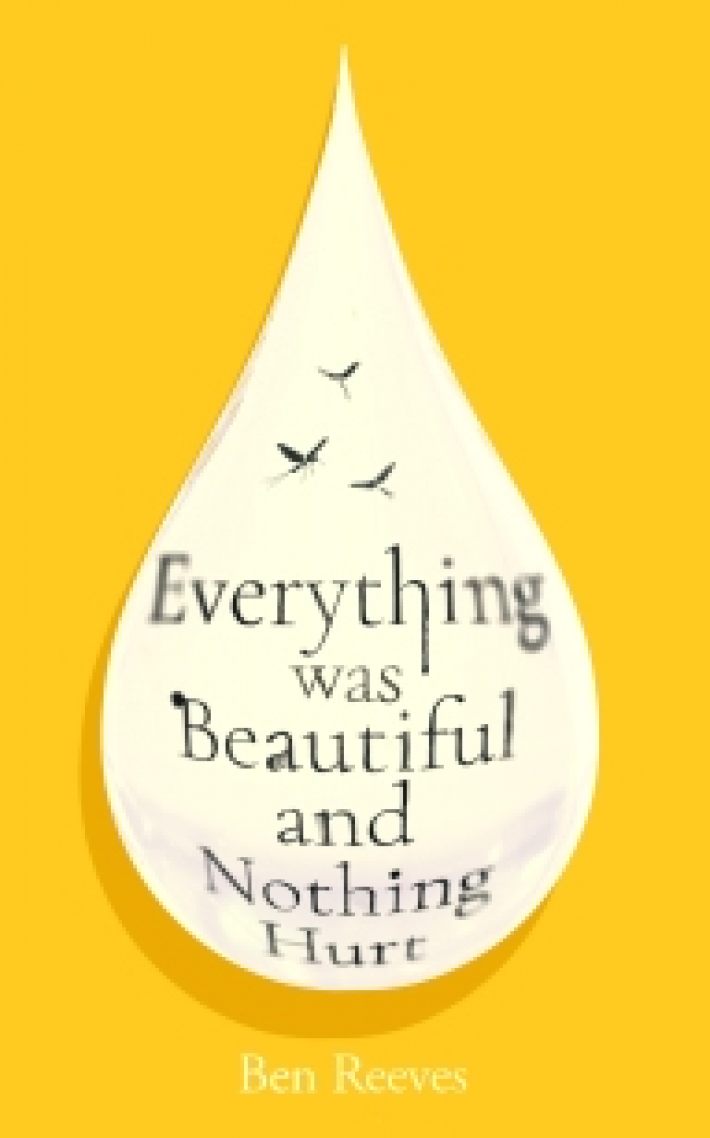 Everything was Beautiful and Nothing Hurt