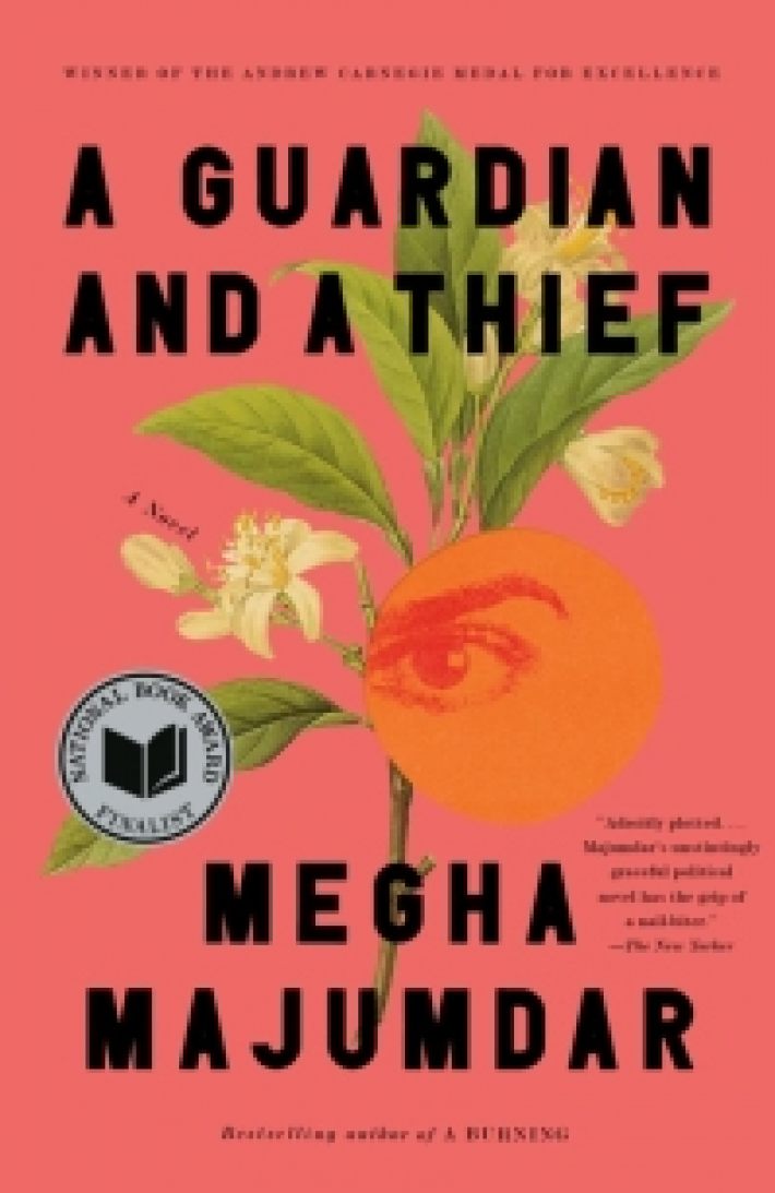 A guardian and a thief