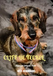 Cliff de Teckel, een hond van goud