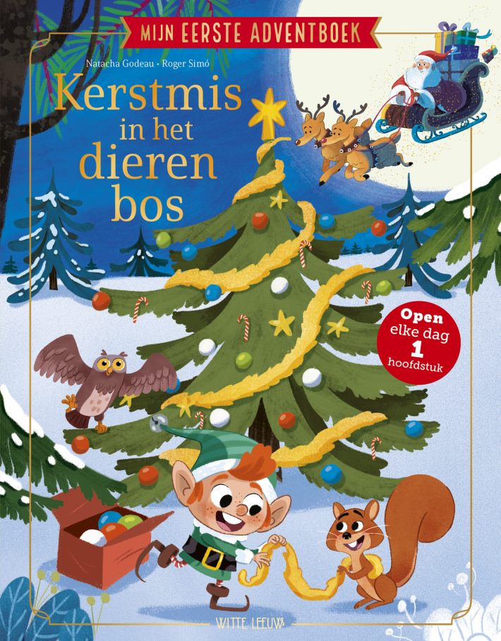 Mijn eerste adventboek - Kerstmis in het dierenbos