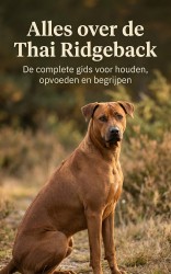 Alles over de Thai Ridgeback