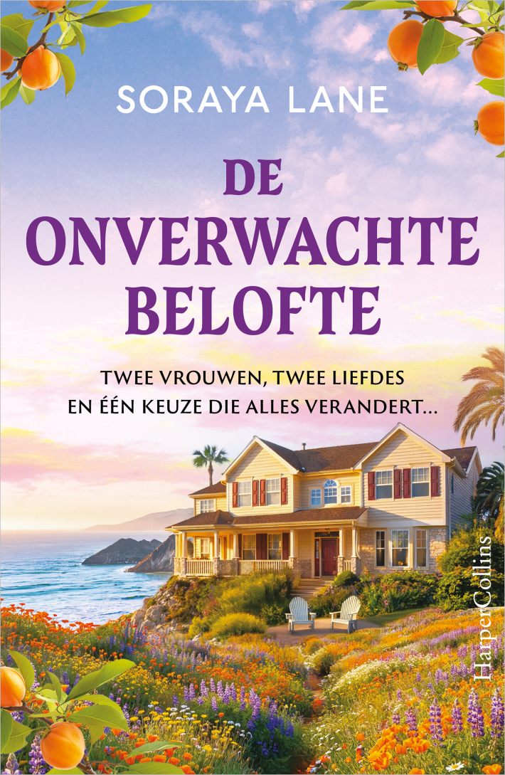 De onverwachte belofte &bullet; De onverwachte belofte