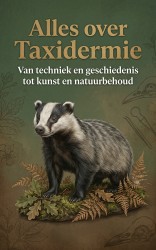 Alles over Taxidermie