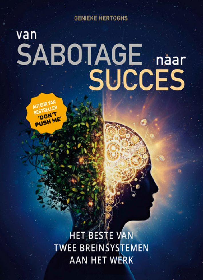Van Sabotage naar Succes