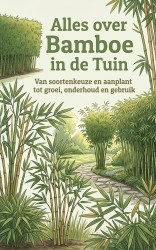 Alles over Bamboe in de Tuin
