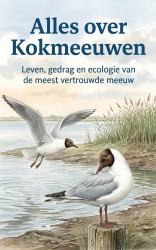 Alles over Kokmeeuwen