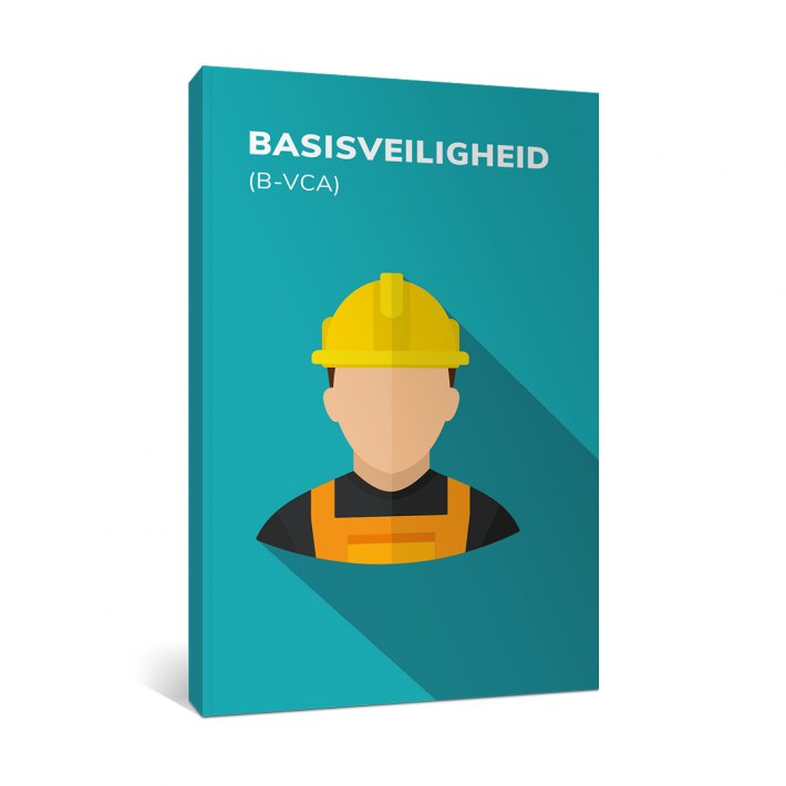 Basisveiligheid (B-VCA)