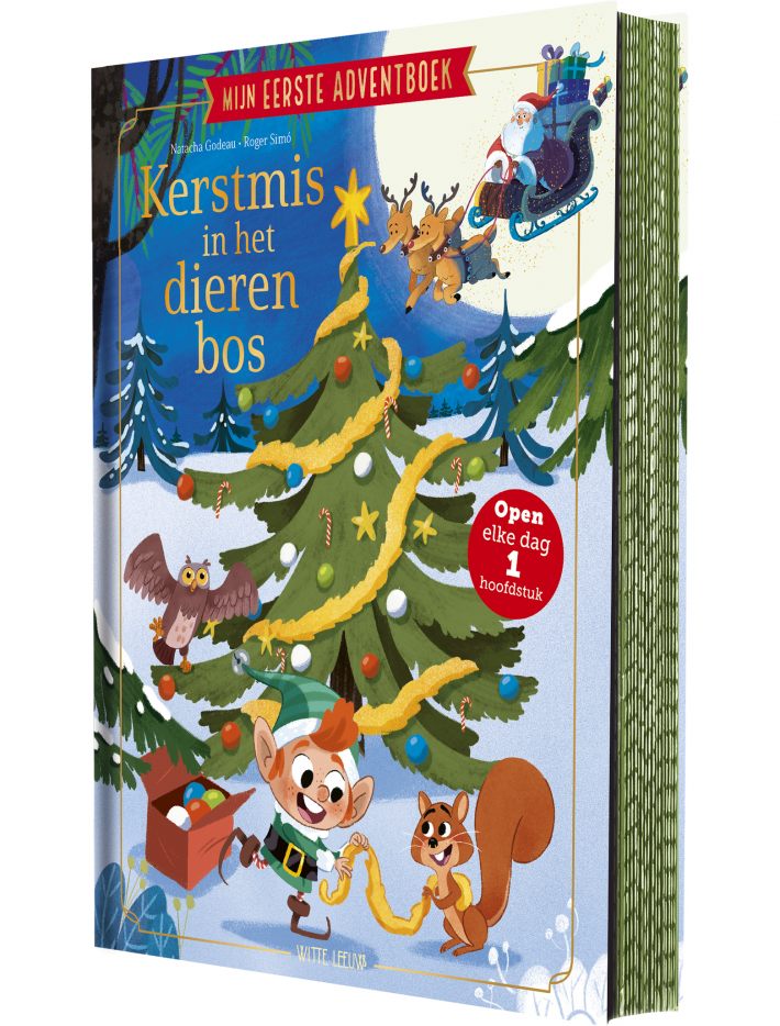 Mijn eerste adventboek - Kerstmis in het dierenbos
