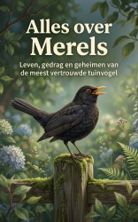 Alles over Merels