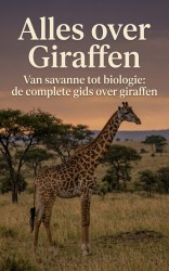 Alles over Giraffen