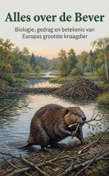 Alles over de Bever