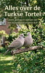 Alles over de Turkse Tortel