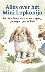 Alles over het Mini Lopkonijn