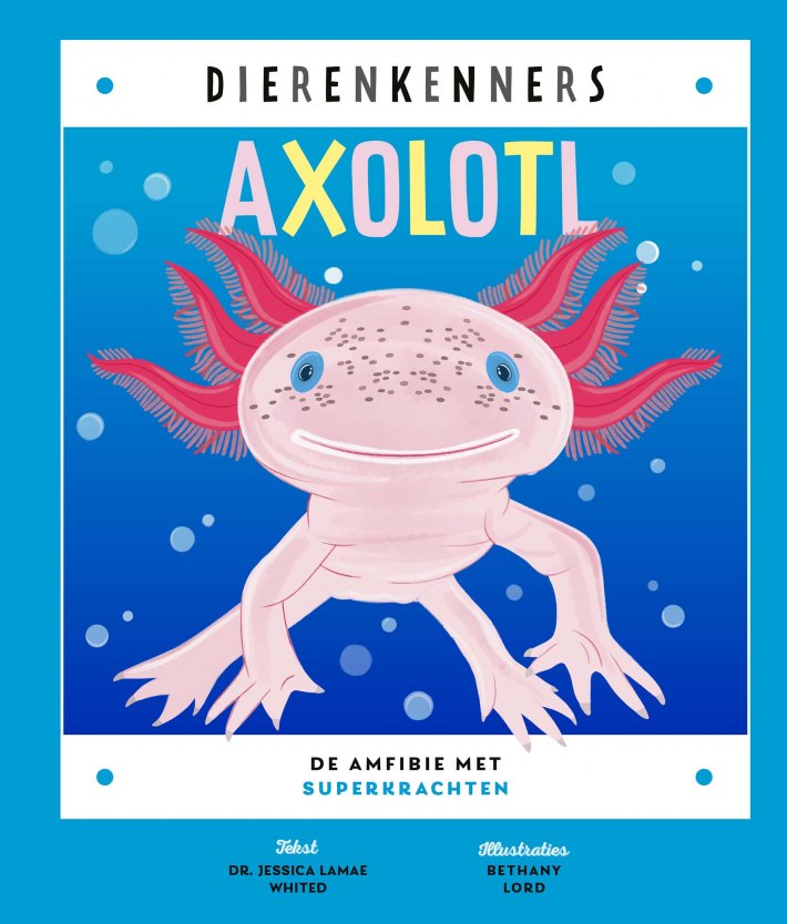 Axolotl