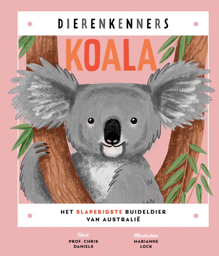 Koala Koala