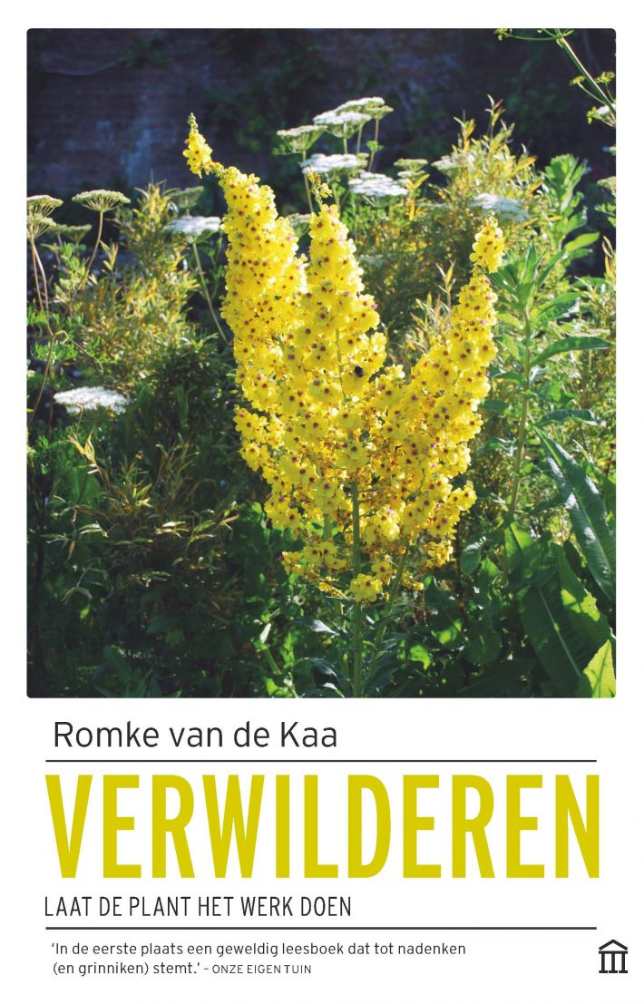 Verwilderen Verwilderen