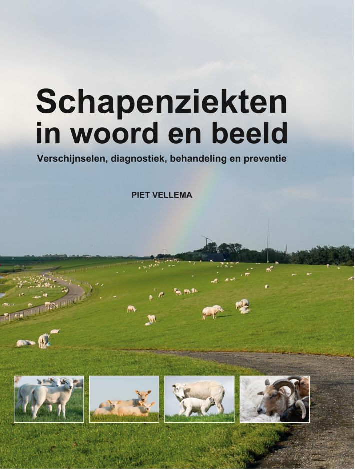 Schapenziekten in woord en beeld