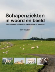 Schapenziekten in woord en beeld