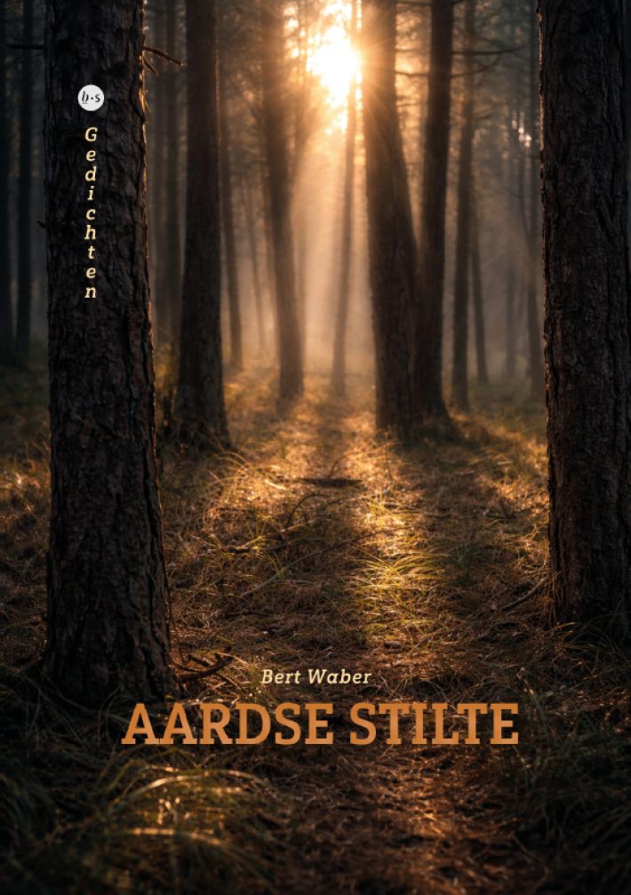 Aardse stilte