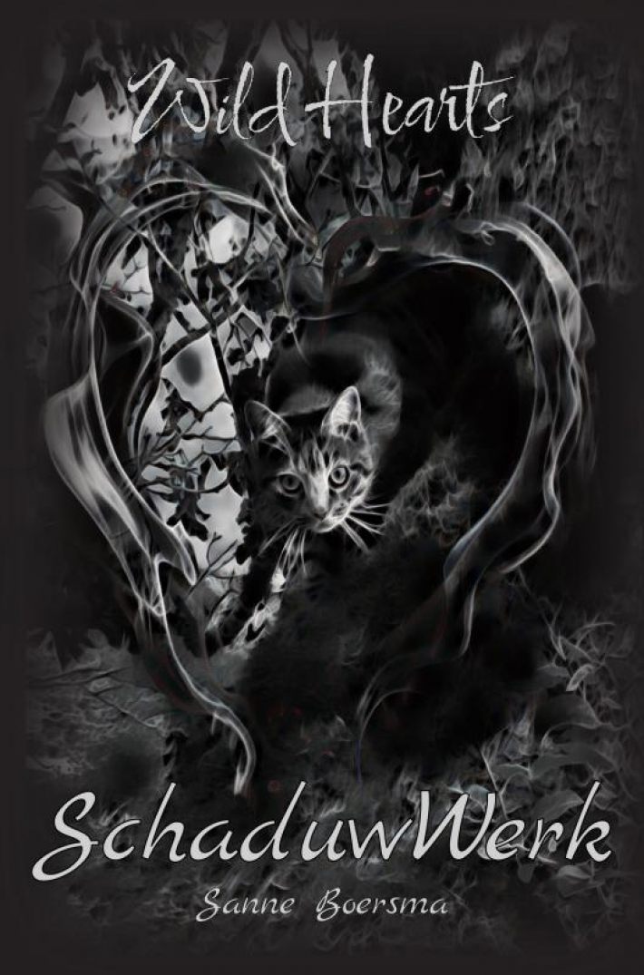 SchaduwWerk