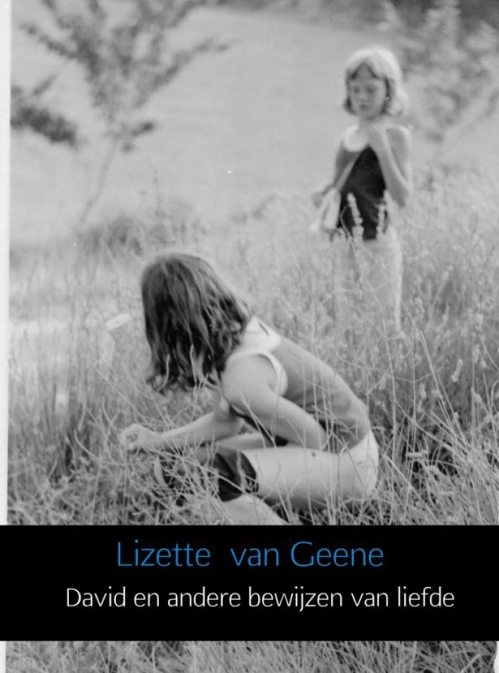 David en andere bewijzen van liefde