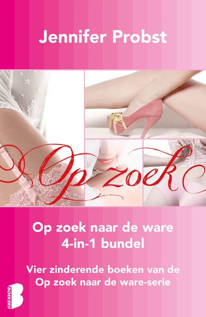 Op zoek naar de ware bundel (4-in-1)