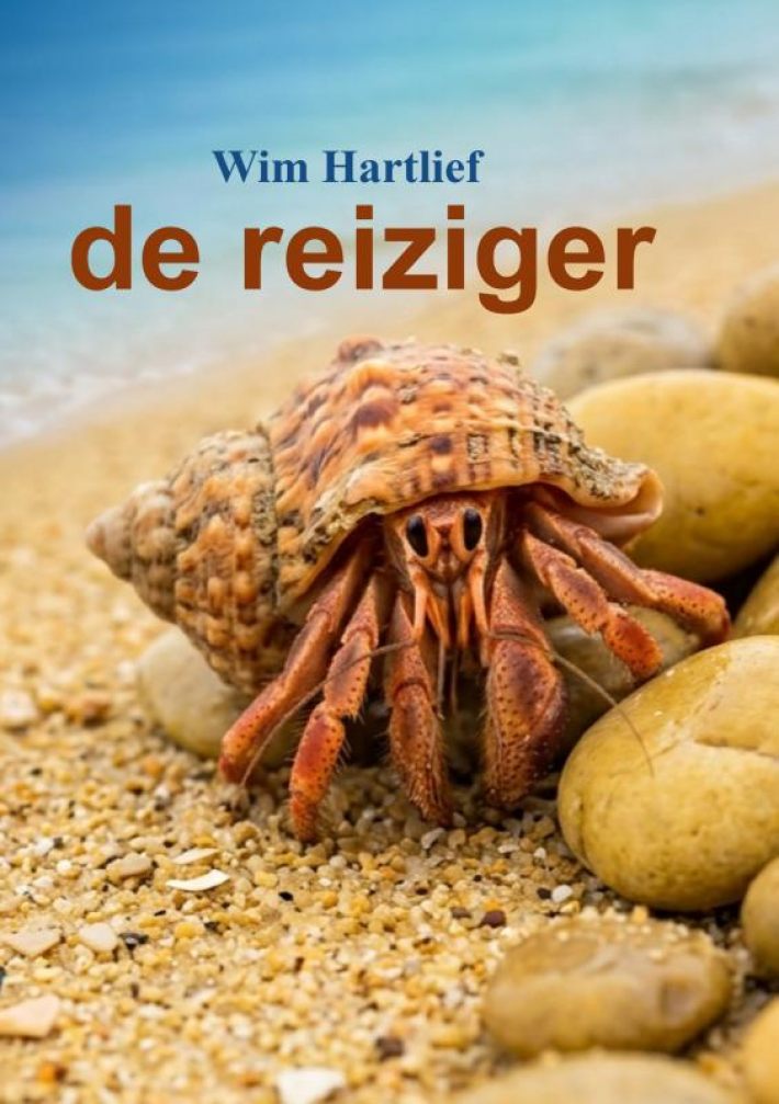 de reiziger