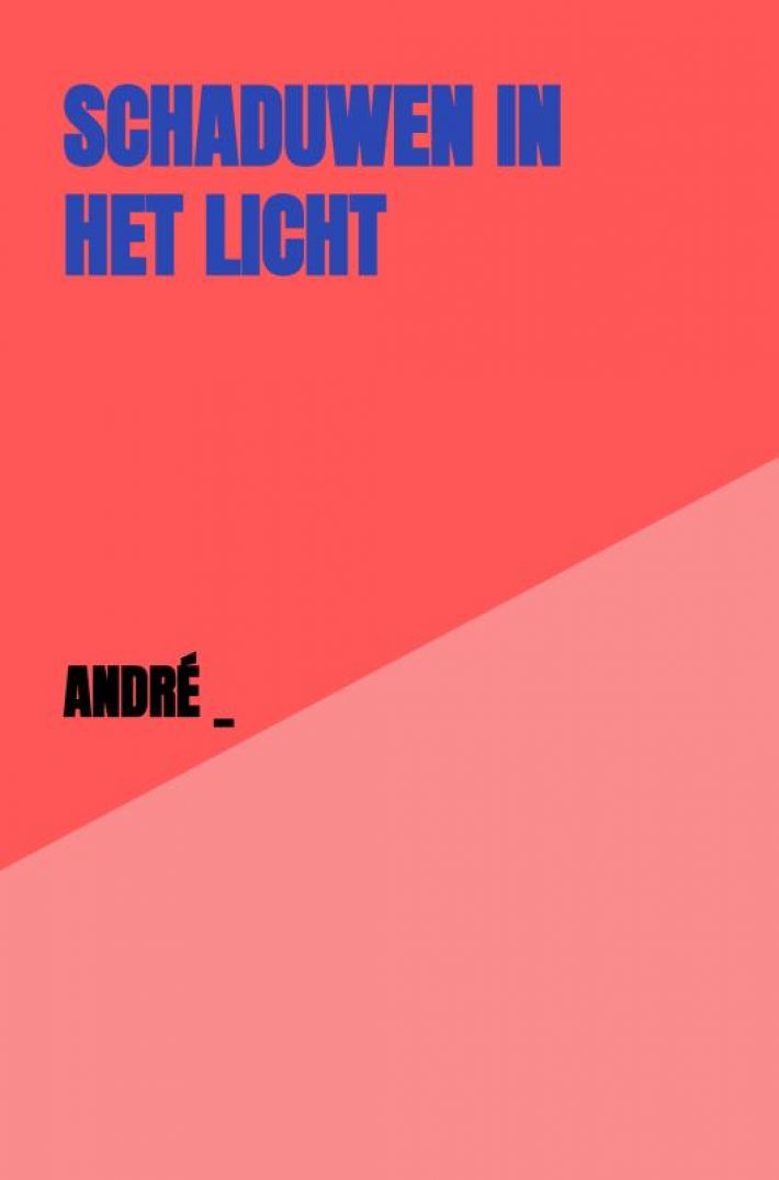 SCHADUWEN IN HET LICHT