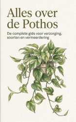 Alles over de Pothos
